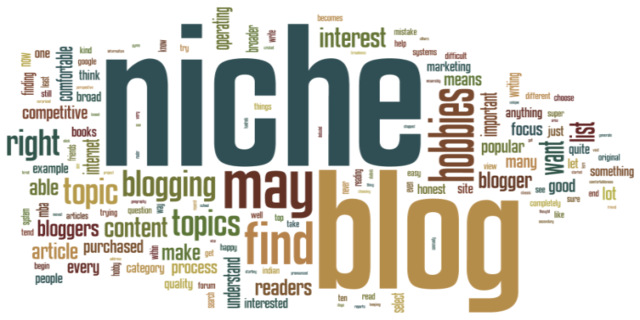 niche-blog